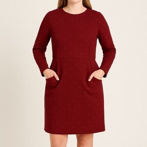 Hutch Anthropologie‎ Red Knit Polka Dot Dress, size 0X